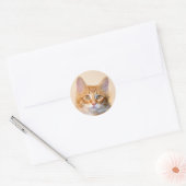 Oranje tafeltje kitten ronde sticker (Envelop)