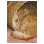 Oranje tafeltje met slaap in hamper klembord (Achterkant)