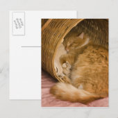 Oranje tafeltje met slaapstand in hamer briefkaart (Voorkant / Achterkant)