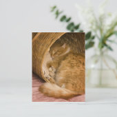 Oranje tafeltje met slaapstand in hamer briefkaart (Staand voorkant)