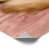 Oranje tafeltje met slaapstand in hamer poster (Hoek)