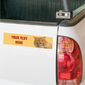 Oranje Talking Cat Pumpkin Jouw tekst Bumpersticker (Op Truck)