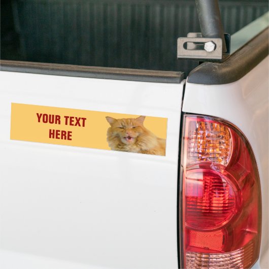 Oranje Talking Cat Pumpkin Jouw tekst Bumpersticker (Op Truck)