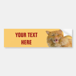 Oranje Talking Cat Pumpkin Jouw tekst Bumpersticker