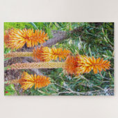 Oranje Tall Hot Poker Flowers Legpuzzel (Horizontaal)