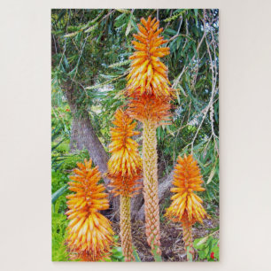 Oranje Tall Hot Poker Flowers Legpuzzel