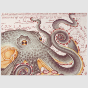 Oranje Tangerine Octopus Kraken  Kaart Tissuepapier