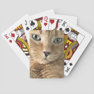 Oranje tapekaarten pokerkaarten