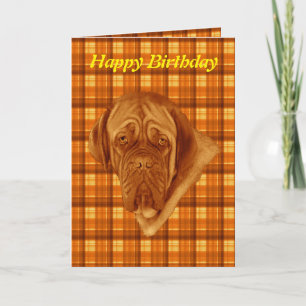 Oranje Tartan French Bordeaux Dog, Birthday Kaart, Kaart