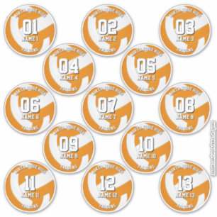 oranje teamkleuren volleybalstickers 13 atleten sticker
