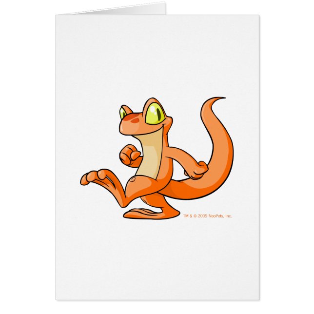 Oranje Techo op op een quest (Voorkant)