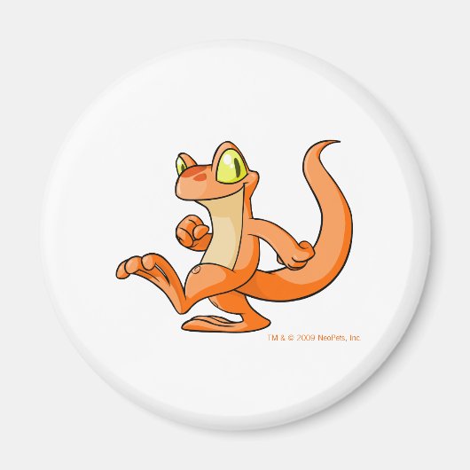 Oranje Techo op op een quest Magneet (Voorkant)