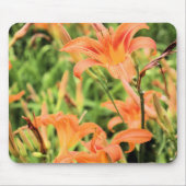 Oranje Tiger Lilies Mousepad Muismat (Voorkant)
