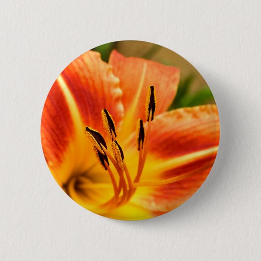 Oranje Tiger Lily Badge Ronde Button 5,7 Cm (Voorkant)