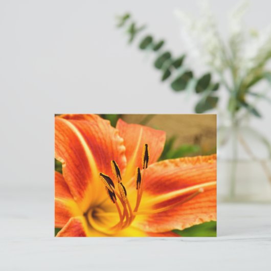 Oranje Tiger Lily Briefkaart (Staand voorkant)