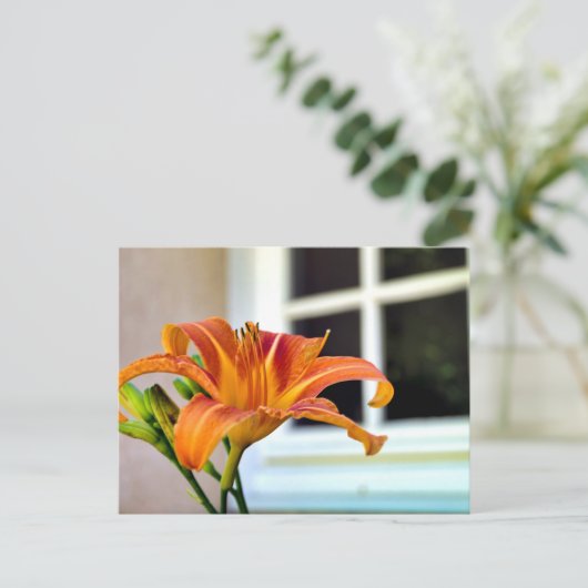 Oranje Tiger Lily Briefkaart (Staand voorkant)
