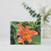 Oranje Tiger Lily Flower Briefkaart (Staand voorkant)