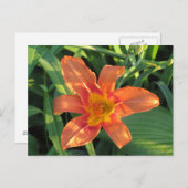 Oranje Tiger Lily Flower Briefkaart (Voorkant / Achterkant)