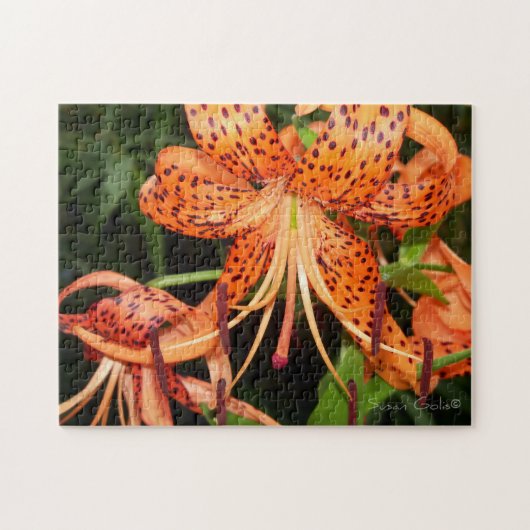 Oranje Tiger Lily Flower Jigzaag Puzzle Legpuzzel (Horizontaal)
