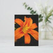 Oranje Tiger Lily Flowers Briefkaart (Staand voorkant)