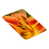 Oranje Tiger Lily Magneet (Rechterzijde)