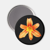 Oranje Tiger Lily Magnet (Voorkant / Achterkant)