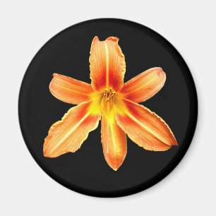 Oranje Tiger Lily Magnet