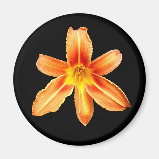 Oranje Tiger Lily Magnet (Voorkant)