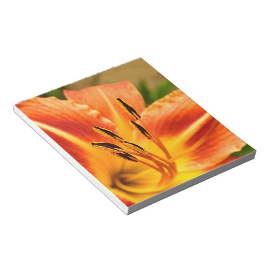 Oranje Tiger Lily Notitieblok (Schuin)