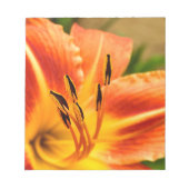 Oranje Tiger Lily Notitieblok (Voorkant)