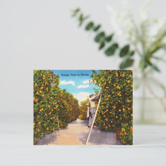  Oranje Tijd in Florida Reis Briefkaart (Staand voorkant)