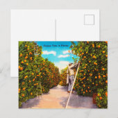  Oranje Tijd in Florida Reis Briefkaart (Voorkant / Achterkant)