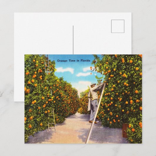  Oranje Tijd in Florida Reis Briefkaart (Voorkant / Achterkant)