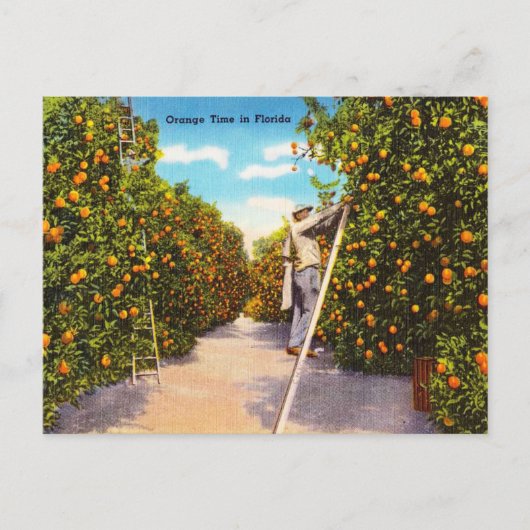  Oranje Tijd in Florida Reis Briefkaart (Voorkant)