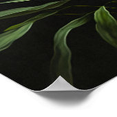 Oranje Tijger Lelies Bloemenkunst Print Poster (Hoek)