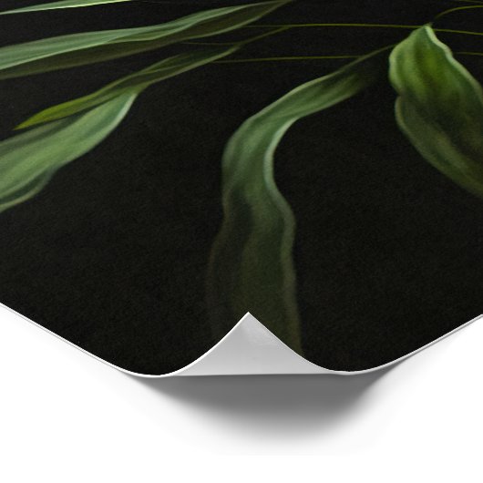 Oranje Tijger Lelies Bloemenkunst Print Poster (Hoek)