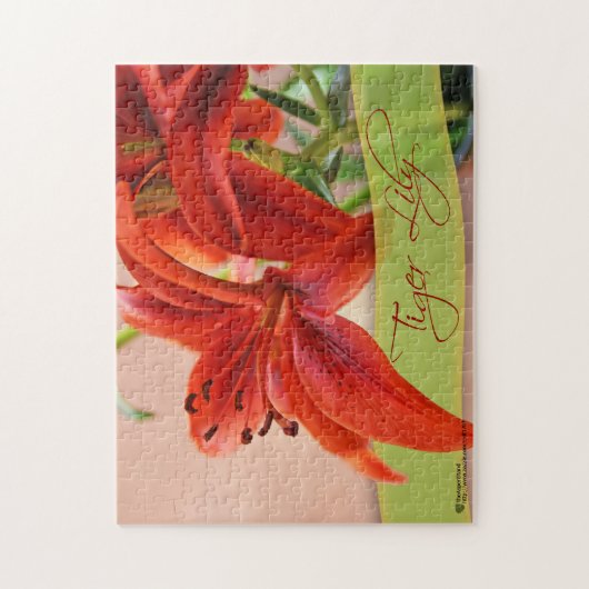Oranje tijger Lily Flowers Close and Typography Legpuzzel (Verticaal)