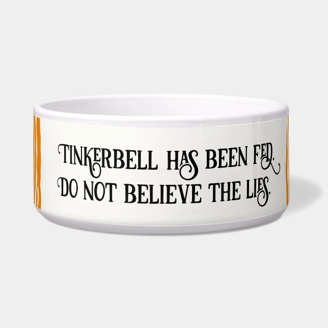 Oranje tijgergestreepte kat is gevoerd voerbakje (Voorkant)