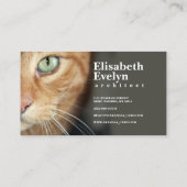 Oranje tijgerkatachat visitekaartje (Achterkant)