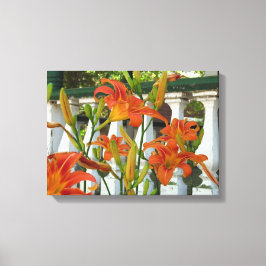 Oranje tijgerlilies - Martha's wijngaard Canvas Afdruk
