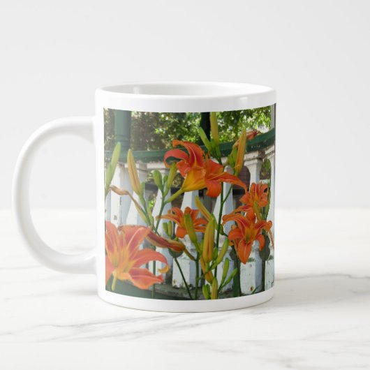 Oranje tijgerlilies - Martha's wijngaard Grote Koffiekop (Links)