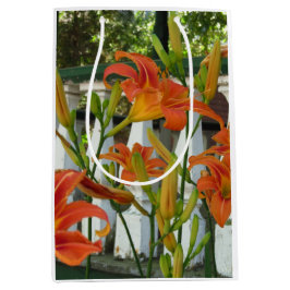 Oranje tijgerlilies - Martha's wijngaard Medium Cadeauzakje