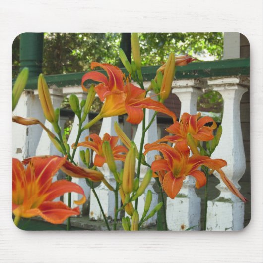 Oranje tijgerlilies - Martha's wijngaard Muismat (Voorkant)