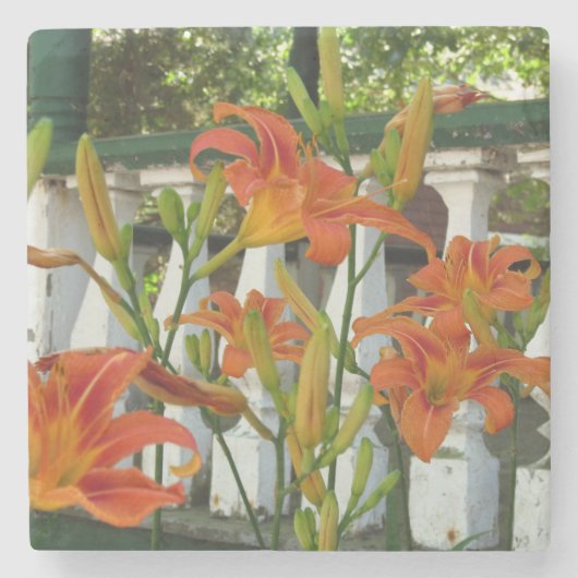Oranje tijgerlilies - Martha's wijngaard Stenen Onderzetter (Voorkant)