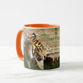 Oranje tijgerMok Mok (Voorkant links)