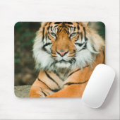 Oranje tijgerMuismat Muismat (Met muis)