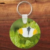 Oranje tipvlinder sleutelhanger (Voorkant)