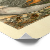 Oranje tonijn voor de zeebioscoop poster (Hoek)