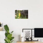 Oranje Toortsbloemen Poster (Thuiskantoor)