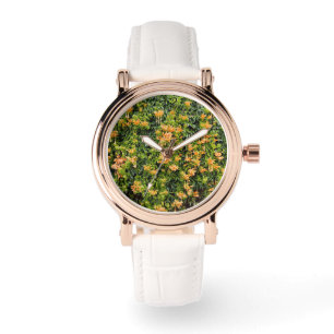 Oranje trompetbloemen op een muur, horloge